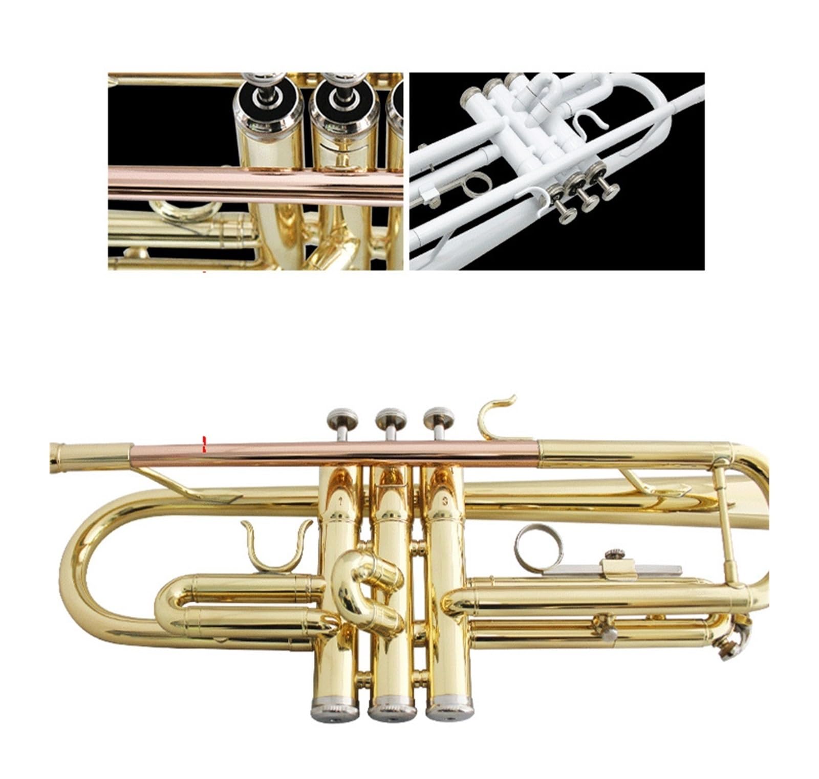 trąbka instrument Uczniowski zespół początkujący na trójtonowej trąbce B-dur róg instrumentu dętego(Color:Brass)
