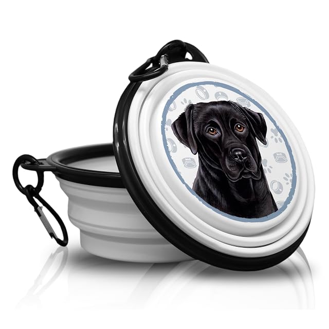 33. Labrador NEGRO - Cuenco de comida, cuenco, cuenco plegable, bebedero portátil con mosquetón para viajes…