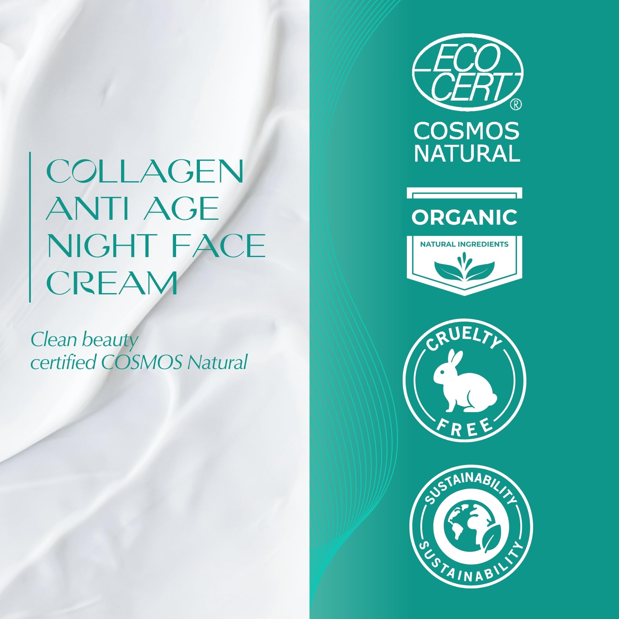 Crema Viso Notte Anti-Età al Collagene Vegetale | con Plancton Marino, Sodio PCA, Burro di Cacao & Karité | Supporta la Produzione Naturale di Collagene | VEGAN & 99% Naturale | COSMOS