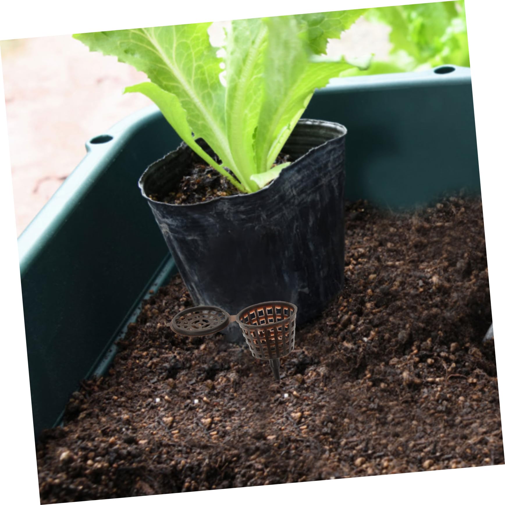 Caja De Fertilizante para Bonsái 20 Piezas con Tapa Contenedor De Abono para Plantas Pequeñas Protector contra Animales Y Viento Ideal para Orquídeas Y Jardín