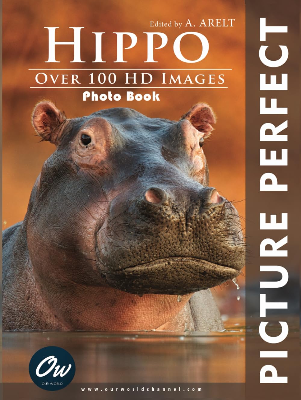Hippo: Picture Perfect Photo Book