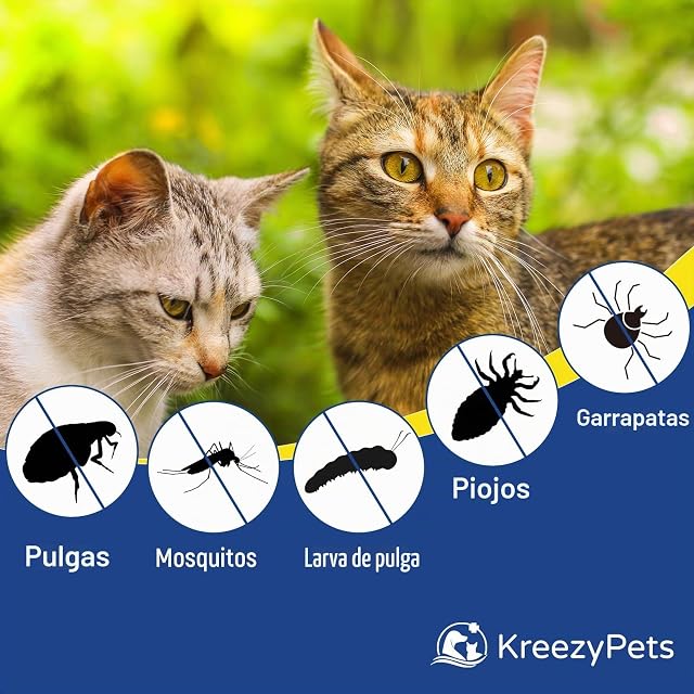 Foto 5 de 8 de Pets4Luv Collar antipulgas y garrapatas natural para gatos