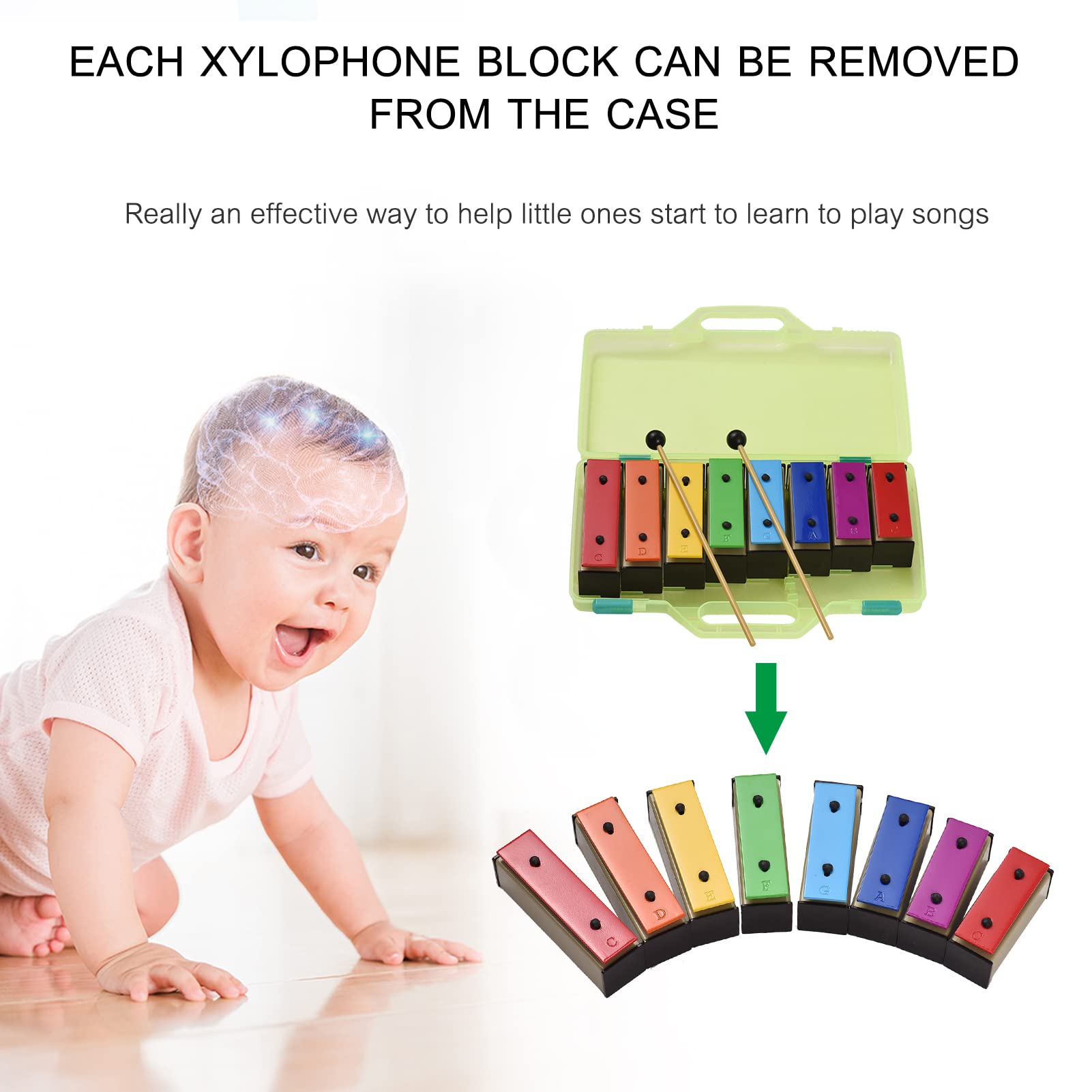 Xilofono colorato a 8 note Glockenspiel giocattolo musicale per bambini con piastre in acciaio metallico sicuro, base staccabile, custodia verde