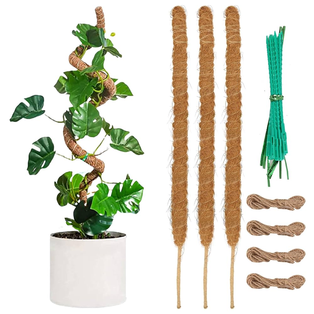 Amazon | RILIHII 園芸支柱【4本／セット】120cm モンステラ
