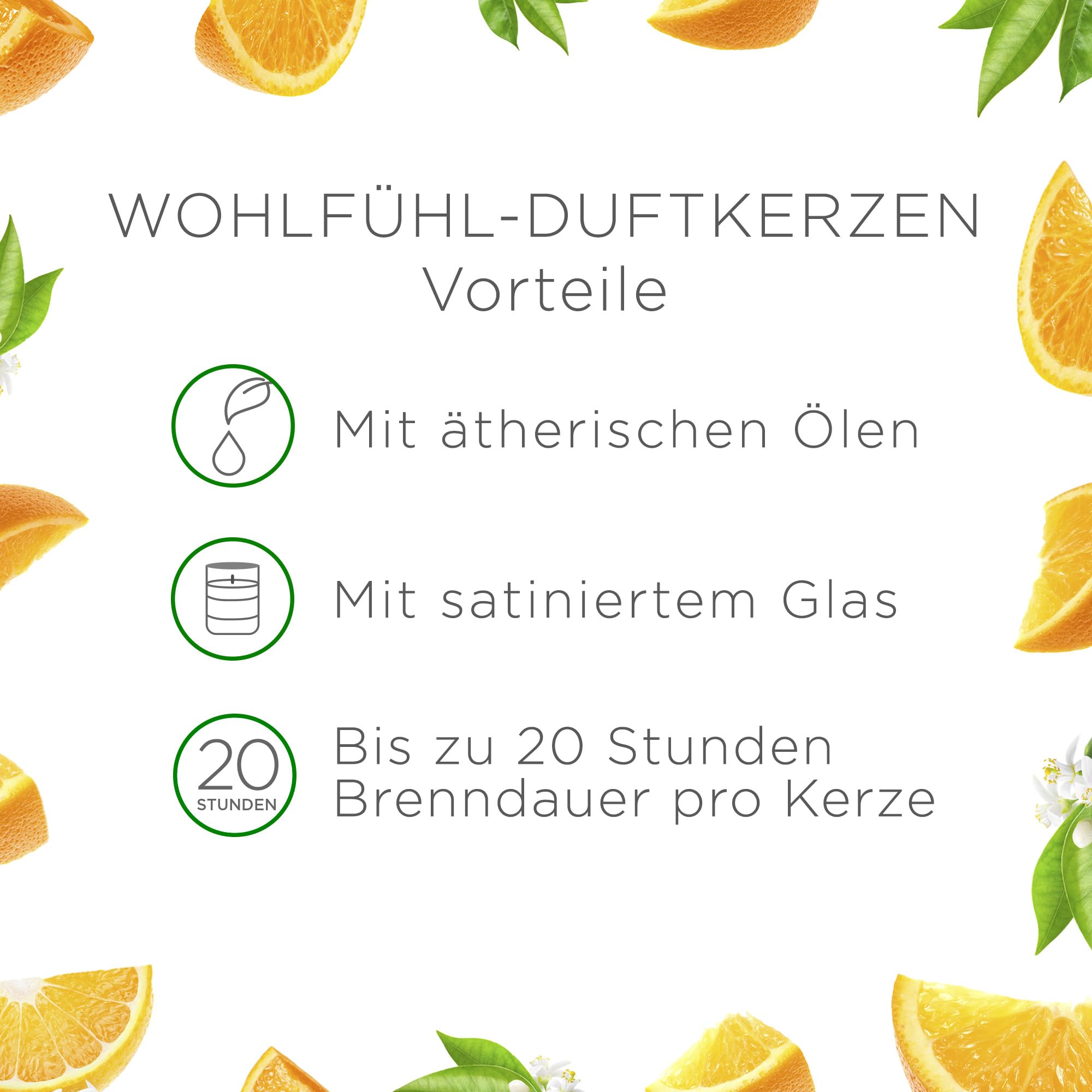 Air Wick Wohlfühl-Duftkerze im Glas – Duft: Citrus – Enthält natürliche ätherische Öle – 6 x 105 g Duftkerzenset