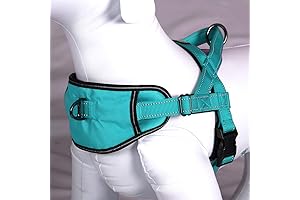 Max and Neo Passport Reflective Dog Harness