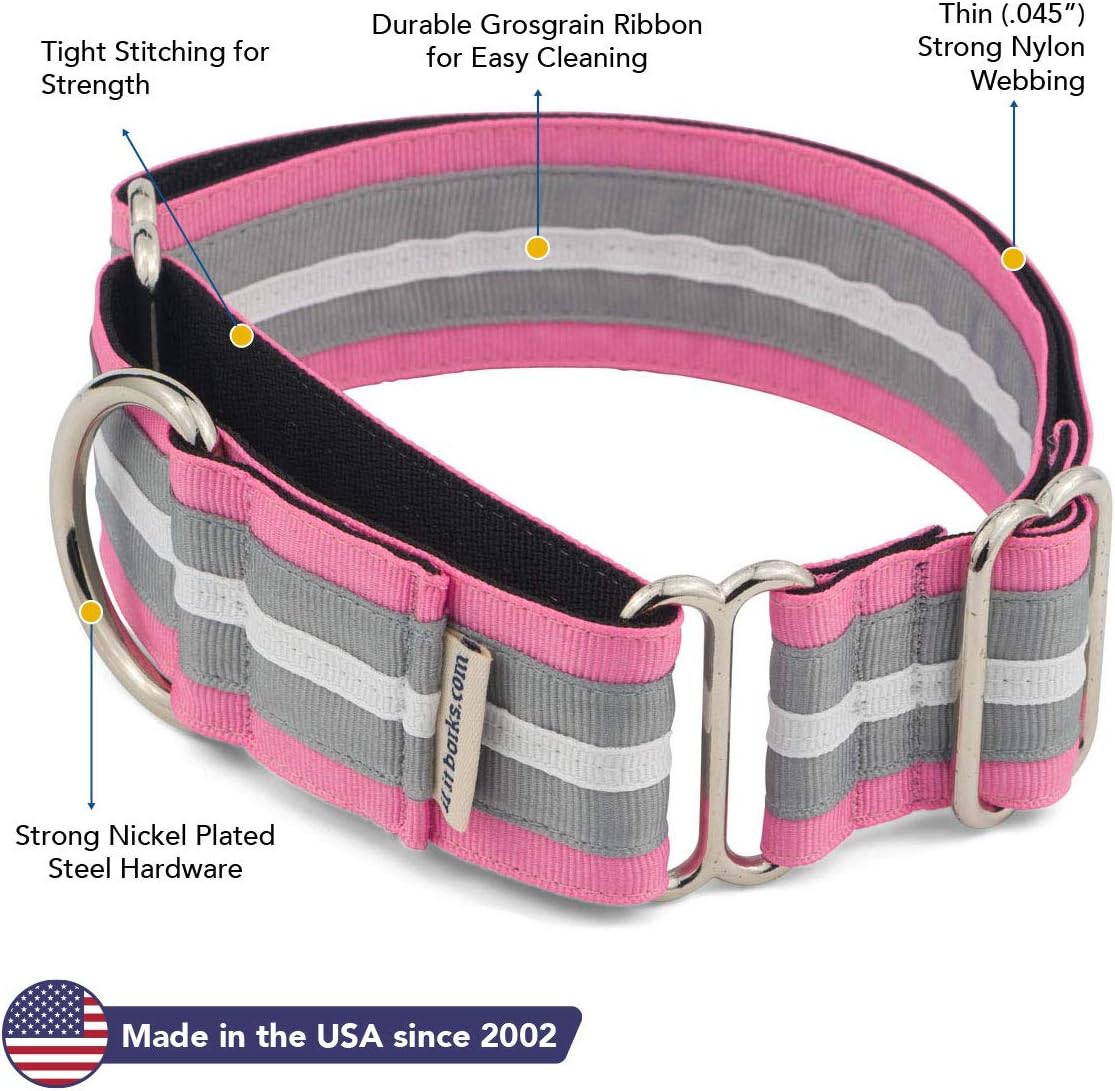 If It Barks - 1.5" Martingale Collar for Dogs - Adjustable - Nylon - Strong and Comfy - Ideal for Training - Made in USA - Large, Spunky