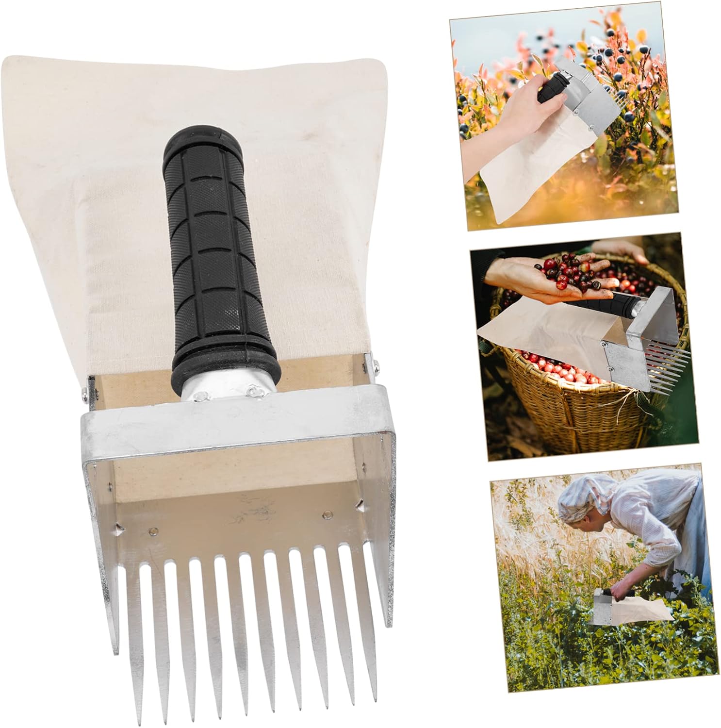 Kisangel Blueberry Picker with Handle Portable Berry Rake Tool for Easy Harvesting of Small Fruits Like Blueberries and Huckleberries Durable and Ergonomic Design