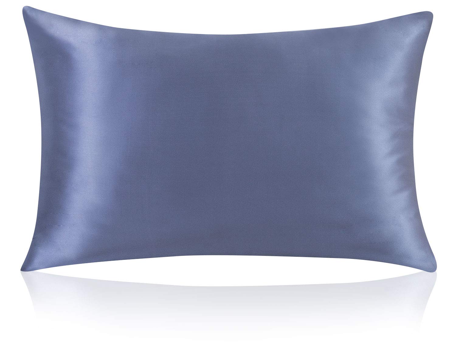 ZIMASILK 100% Pure Mulberry Silk Pillowcase for Hair and Skin Health,Both Sides Premium Grade 6A Silk,Soft and Smooth,600 Thread Count,with Hidden Zipper,1pc (Standard 50x75cm,Gray Blue)