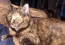 Review Image by Sharky Sharky