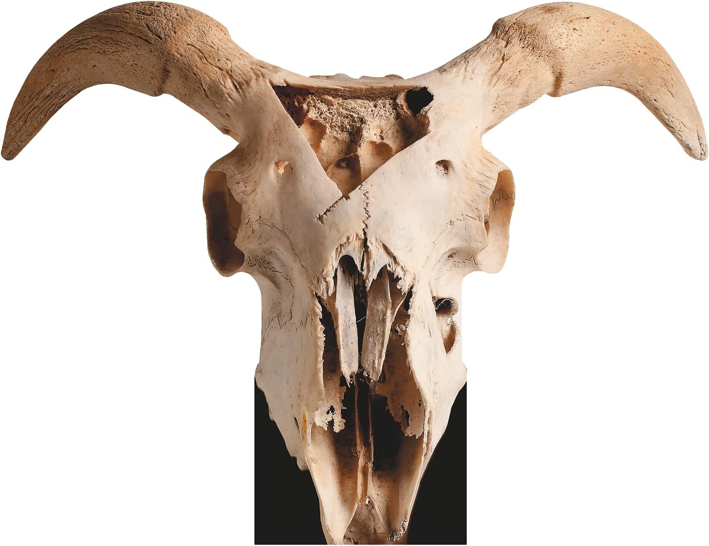 SP12636 4x3ft Goat Skull Sin Icon Baphomet Satan Cardboard Cutout Standee Standup