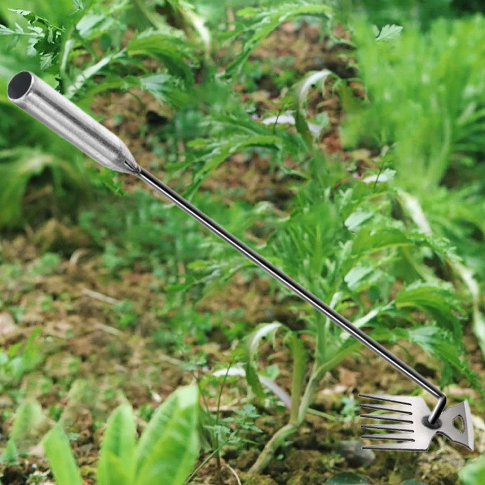 Arracher Les Mauvaises Herbes, Outil Multifonctionnel Argenté pour Désherber et Arracher Les Mauvaises Herbes des Cultures Potagères, 73 cm 6 Dents