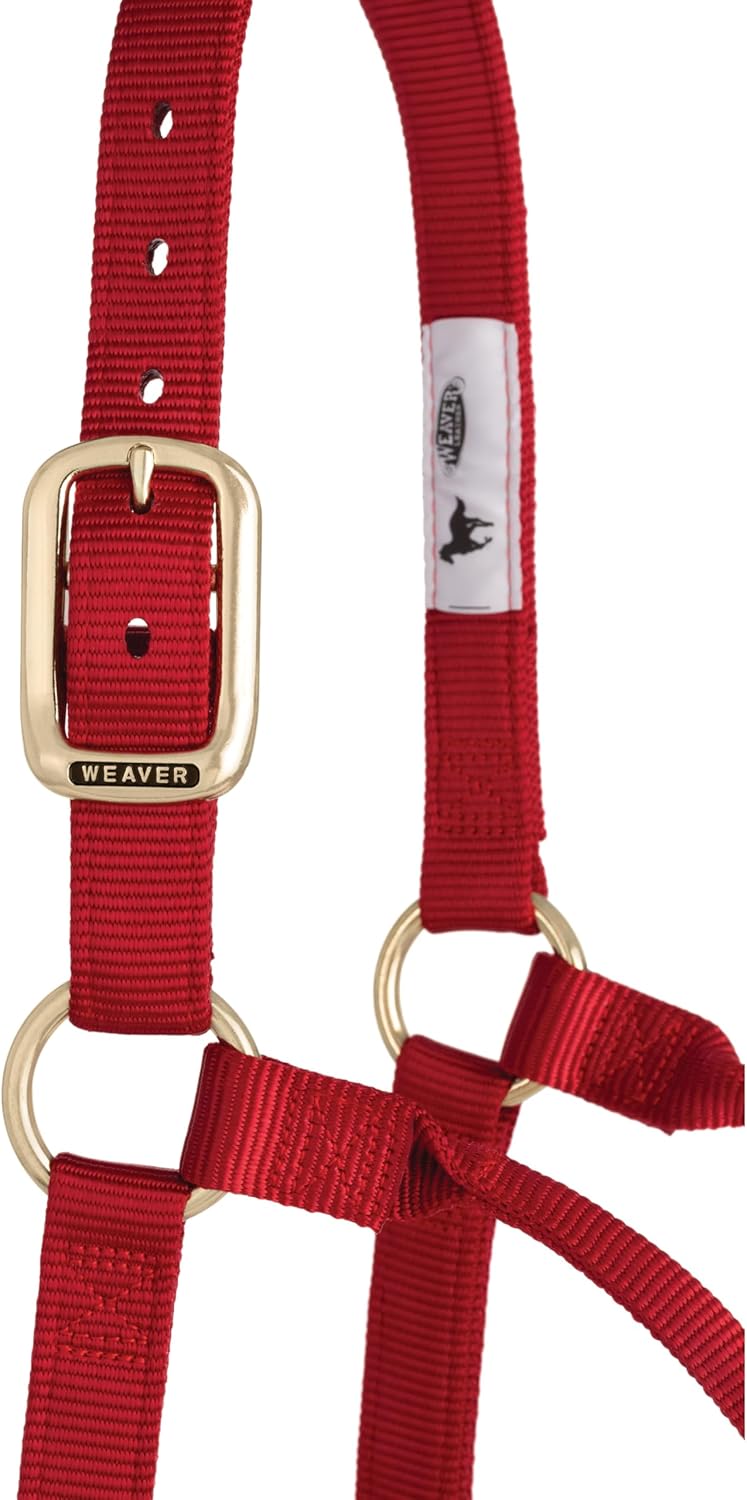 Weaver Leather Original Non-Adjustable Nylon Horse Halter, Small, Red