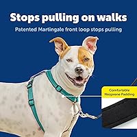 Vista 3 de PetSafe Arnés 3 en 1 – Cómodo arnés de pecho para perro fácil de caminar con accesorio de correa frontal para reducir tirones, asfixia y arcadas
