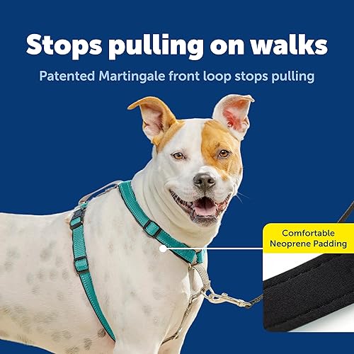Miniatura 3 de PetSafe Arnés 3 en 1 – Cómodo arnés de pecho para perro fácil de caminar con accesorio de correa frontal para reducir tirones, asfixia y arcadas