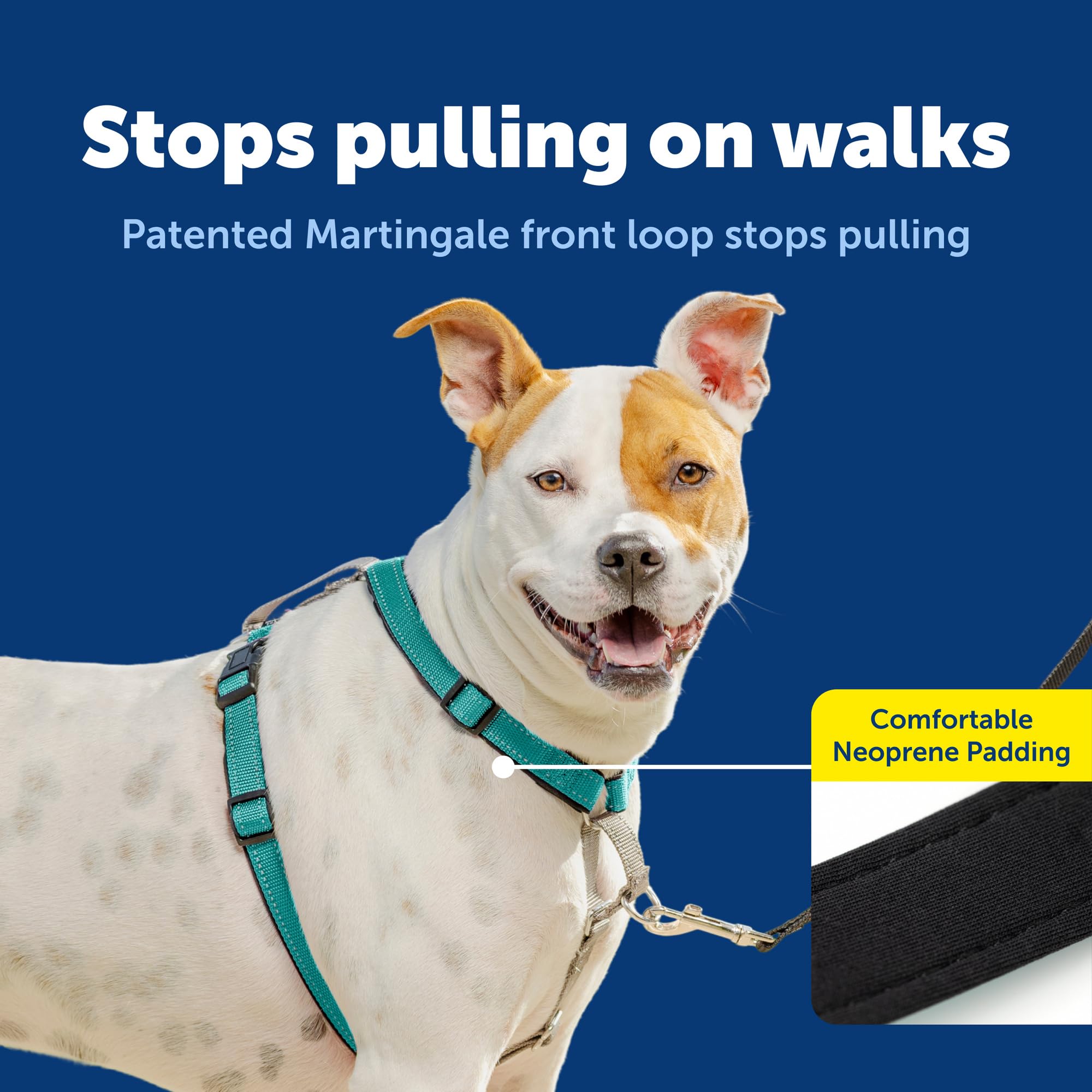 PetSafe Harnais 3 en 1 et retenue de Voiture - Taille M - Bleu Sarcelle - Pas de Traction - Réglable - Entraînement pour Chiens de Petite, Moyenne et Grande Taille