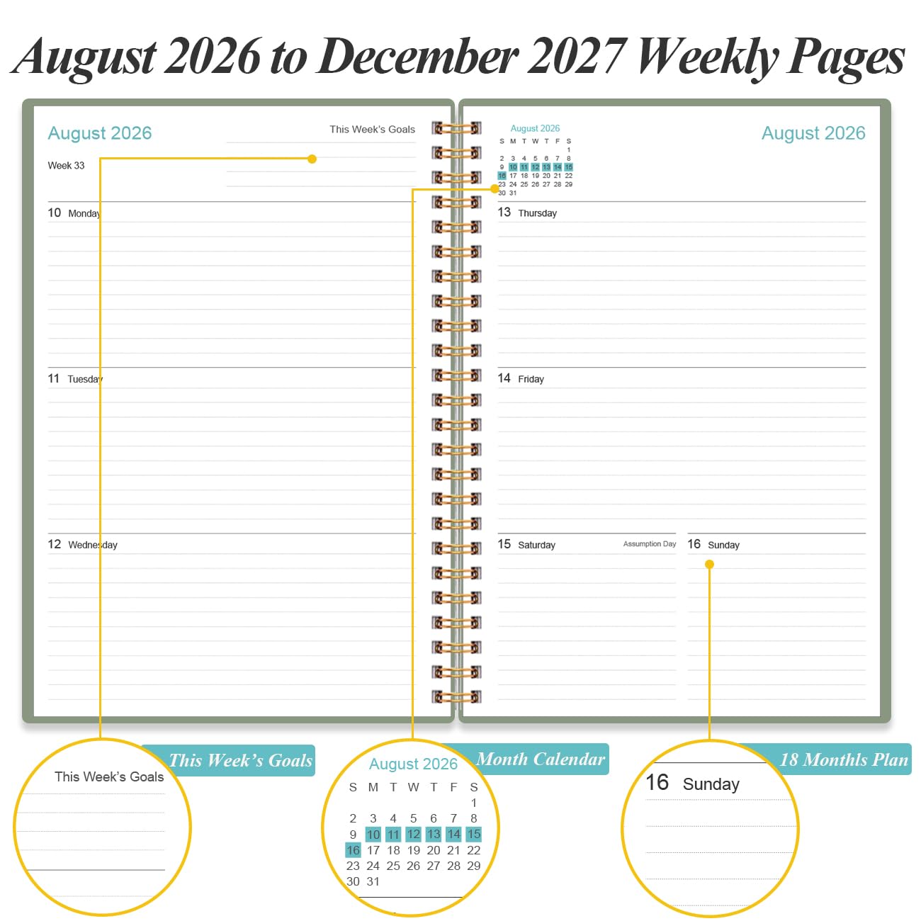 Agenda 2025-2026, 18 mesi, settimanale e mensile da gennaio 2025 a giugno 2026, agenda a spirale 2025 con chiusura elastica, tasca interna, 21,6 x 27,9 cm, verde acqua