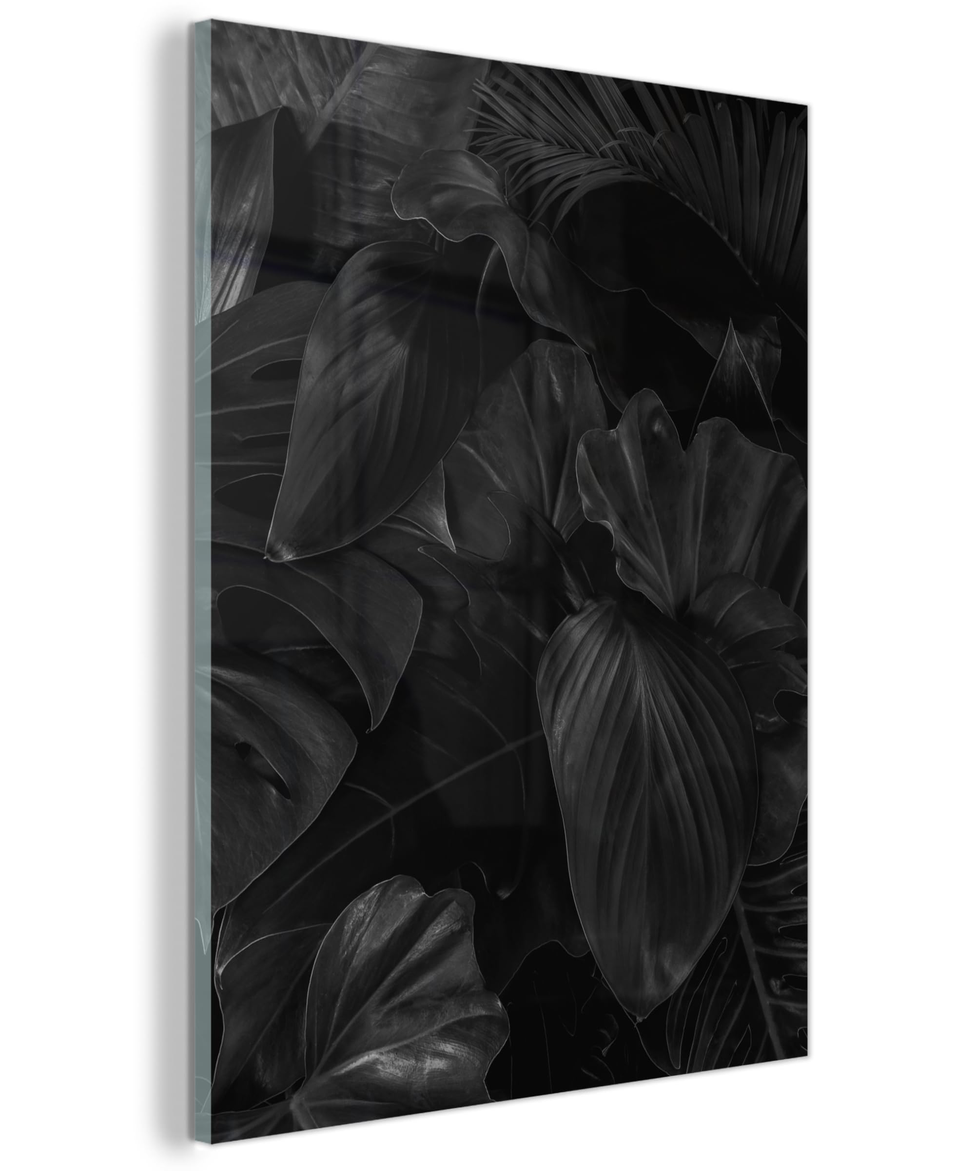 MuchoWow© Quadri Grande Formato 60x80 cm Mini Poster Parete Moderno Interno Stampa Foto Su Vetro Salotto Cornice Murale Arredamento Foglie - Nero - Piante - Scuro