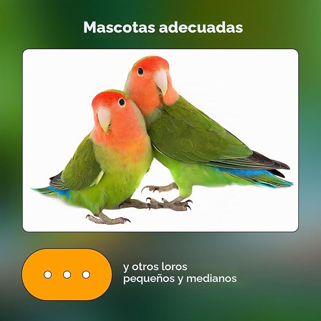Foto 6 de 7 de Nobleza - (4 * 900g) Alimento Completo para Agapornis, Pienso Premium para Aves, Comida Sana y Sabrosa…