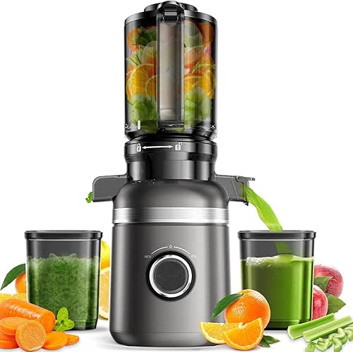 Cold Press Juicer Machines for Whole Vegetables & Fruits, Slow
