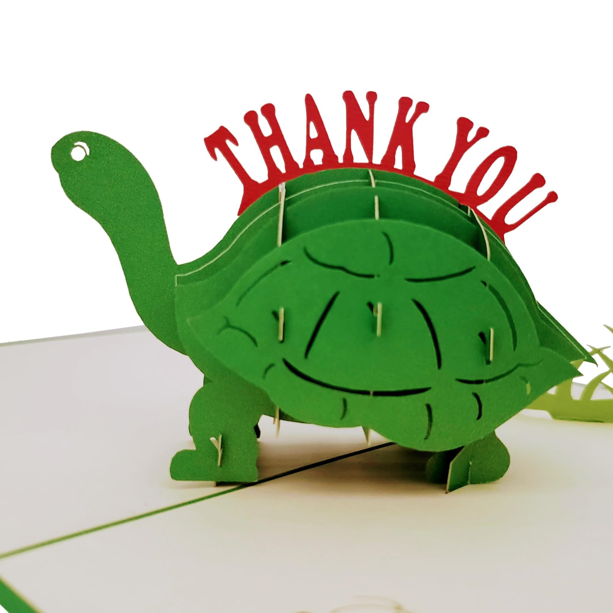 iGifts And Cards Cute Turtle Thank You 3D Pop Up Greeting Card - Funny Animals, Turquoise, Blank, Cool, Fun, Half-Fold, Thank You, Gratitude,