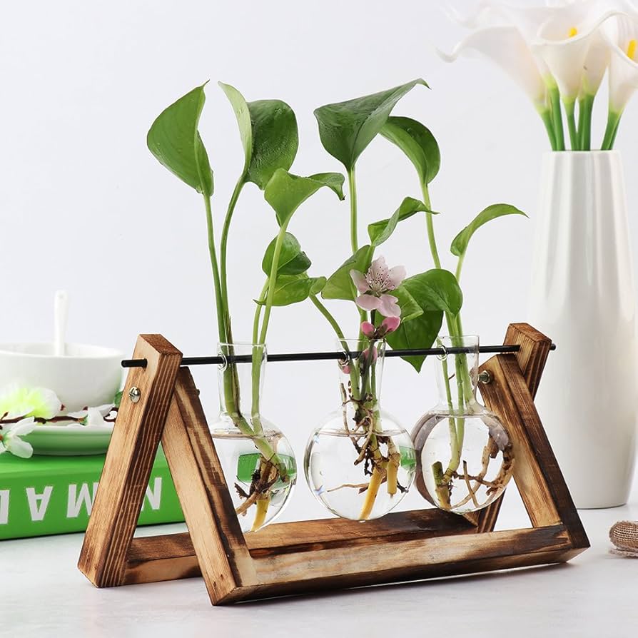 Amazon.co.jp: Langba 花瓶 水耕栽培 フラスコ型 プランター