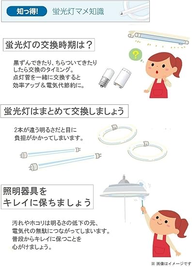 Amazon パナソニック 丸形蛍光灯 Fcl 32形 40形 2本入 ナチュラル色 パルックプレミア000 Fcl3240enwm2k パナソニック Panasonic 丸形蛍光灯 Fcl 通販 Amazon パナソニック 丸形蛍光灯 Fcl 32形 40形 2本入 ナチュラル色 パルックプレミア000 Fcl3240enwm2k パナソニック Panasonic 丸形蛍光灯 Fcl 通販