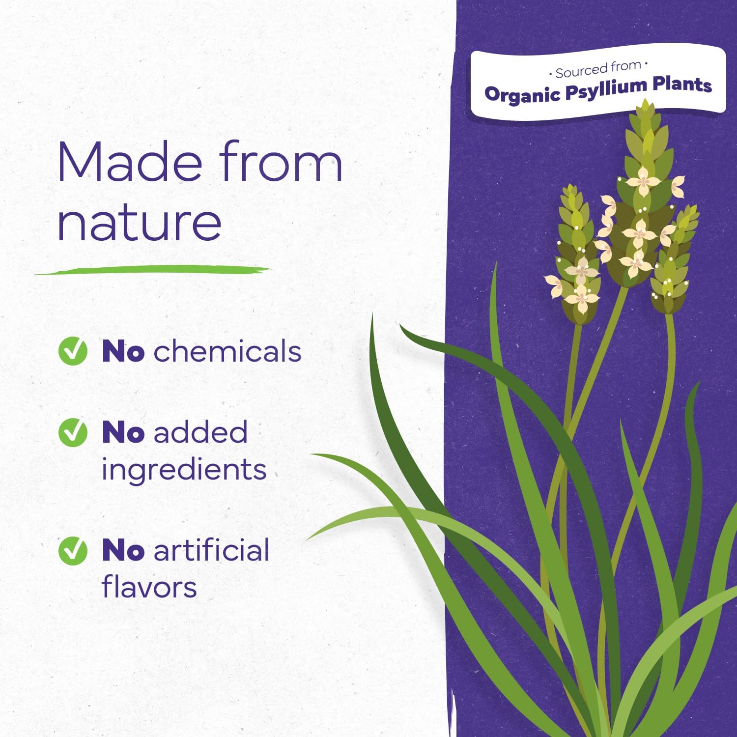 Konsyl Organic Psyllium Husk Powder, 5g of Plant Based Soluble Fiber per Serving – USDA Organic, Non-GMO, Gluten Free, Sugar Free, Vegan, 12 Ounce (Pack of 1) - Image 5