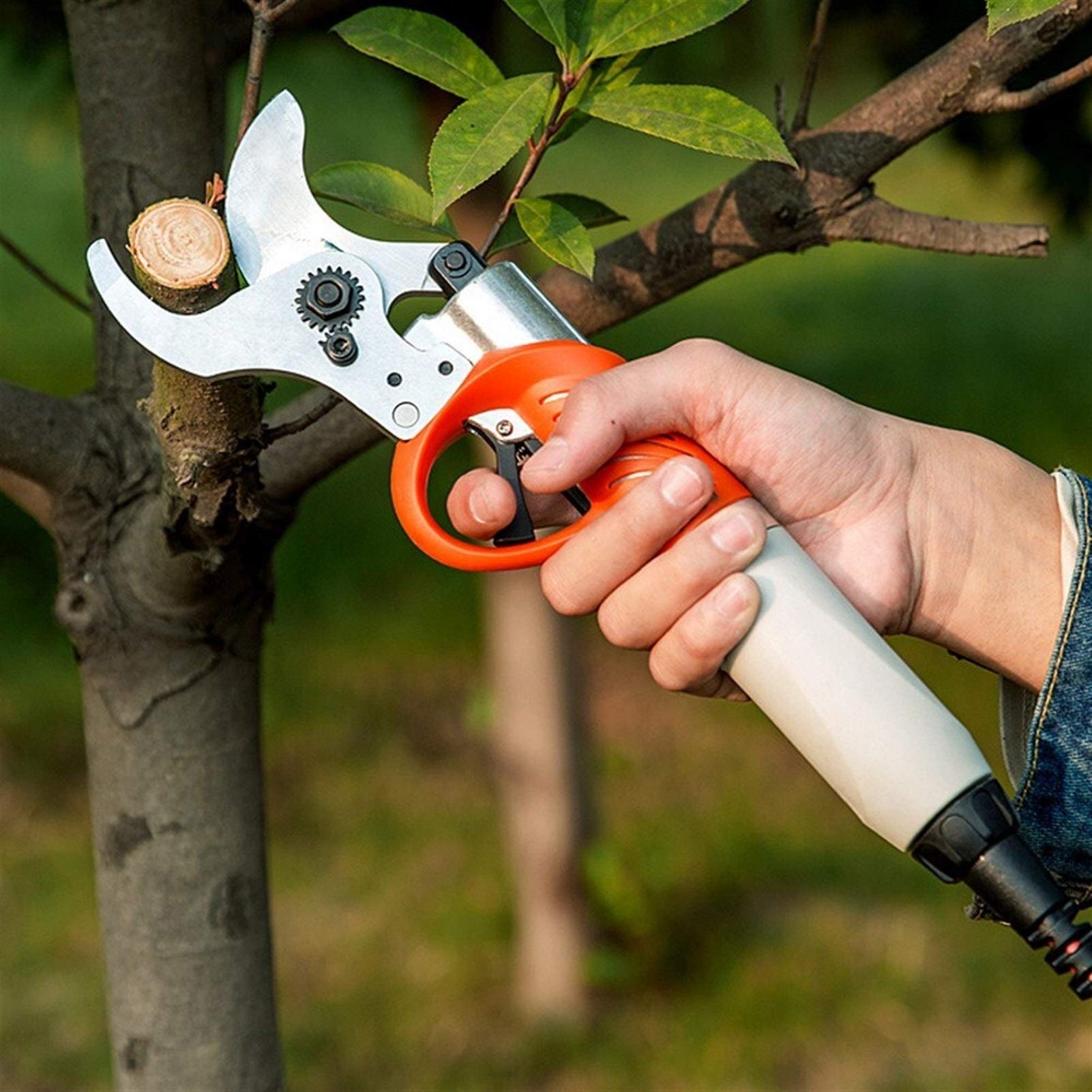 Forbici da potatura elettriche Professionali, Inserti Senza Fili per Giardinaggio, con Doppia Batteria e Lame di Ricambio Extra, attrezzo per potatura Alberi e Giardino.