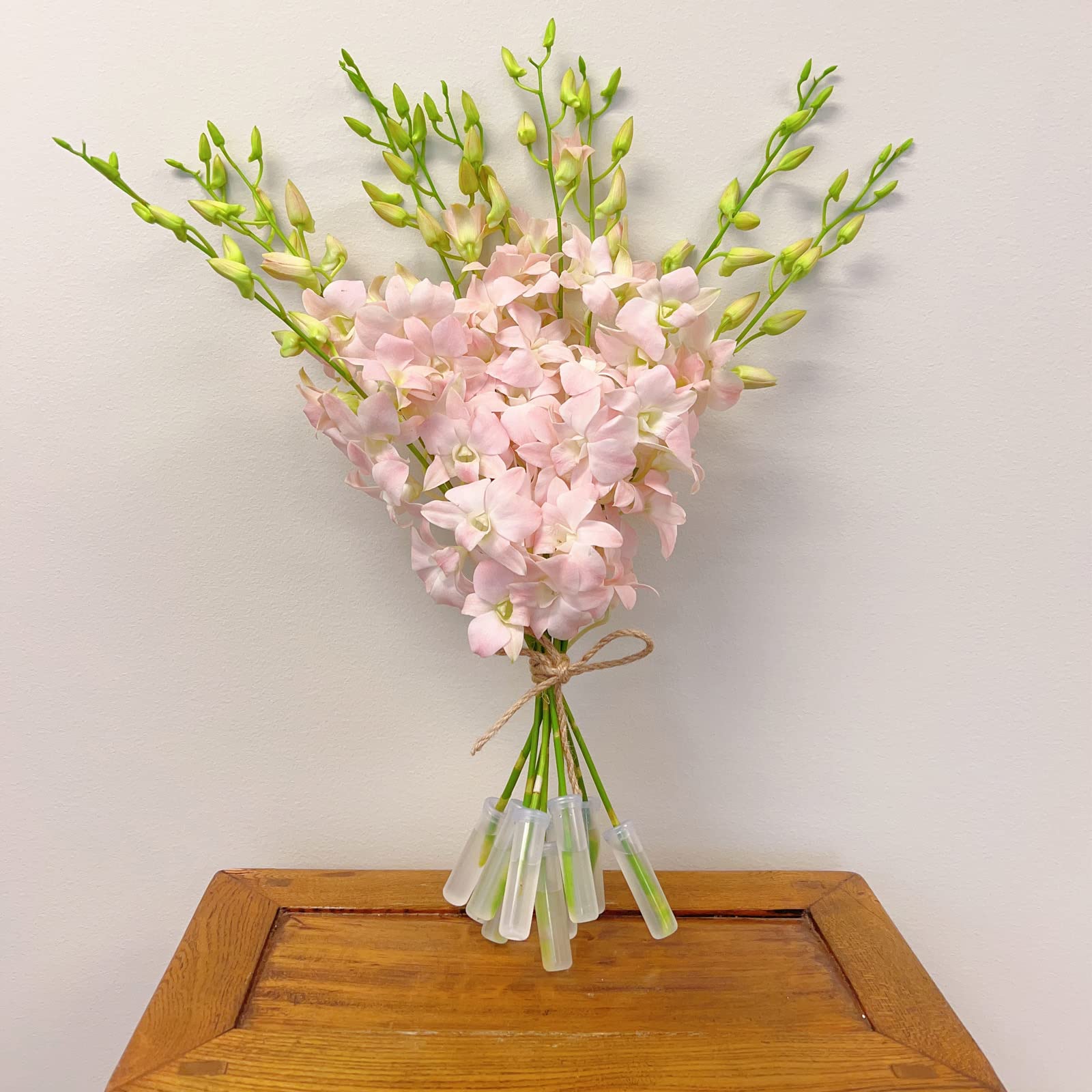 Athena’s Garden Fresh Cut Pink Orchids  peachy Dendrobium Orchid Flowers: 10 Stems