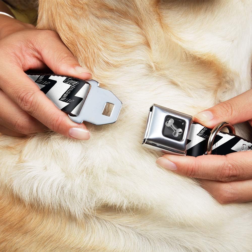 Dog Collar Seatbelt Buckle Lightning Bolts Sketch Black White 13 to 18 Inches 1.5 Inch Wide