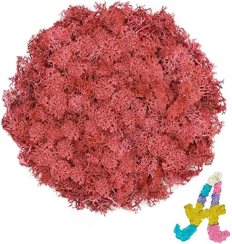 Miniatura 50 de Musgo de reno azul preservado de 7 onzas para plantas en maceta, decoración artesanal para arte de pared, musgo falso para decoración de bricolaje