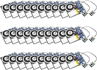 XLW Modul, 16 MB Druckknopf-aktiviertes Soundmodul mit Lautsprecher, 16 Minuten einfacher Tonaufnahme-Chip für personalisierte Grüße, DIY-Projekte, MP3-Musik zum Basteln, Typ-C-Kabelladen (Blau, 30