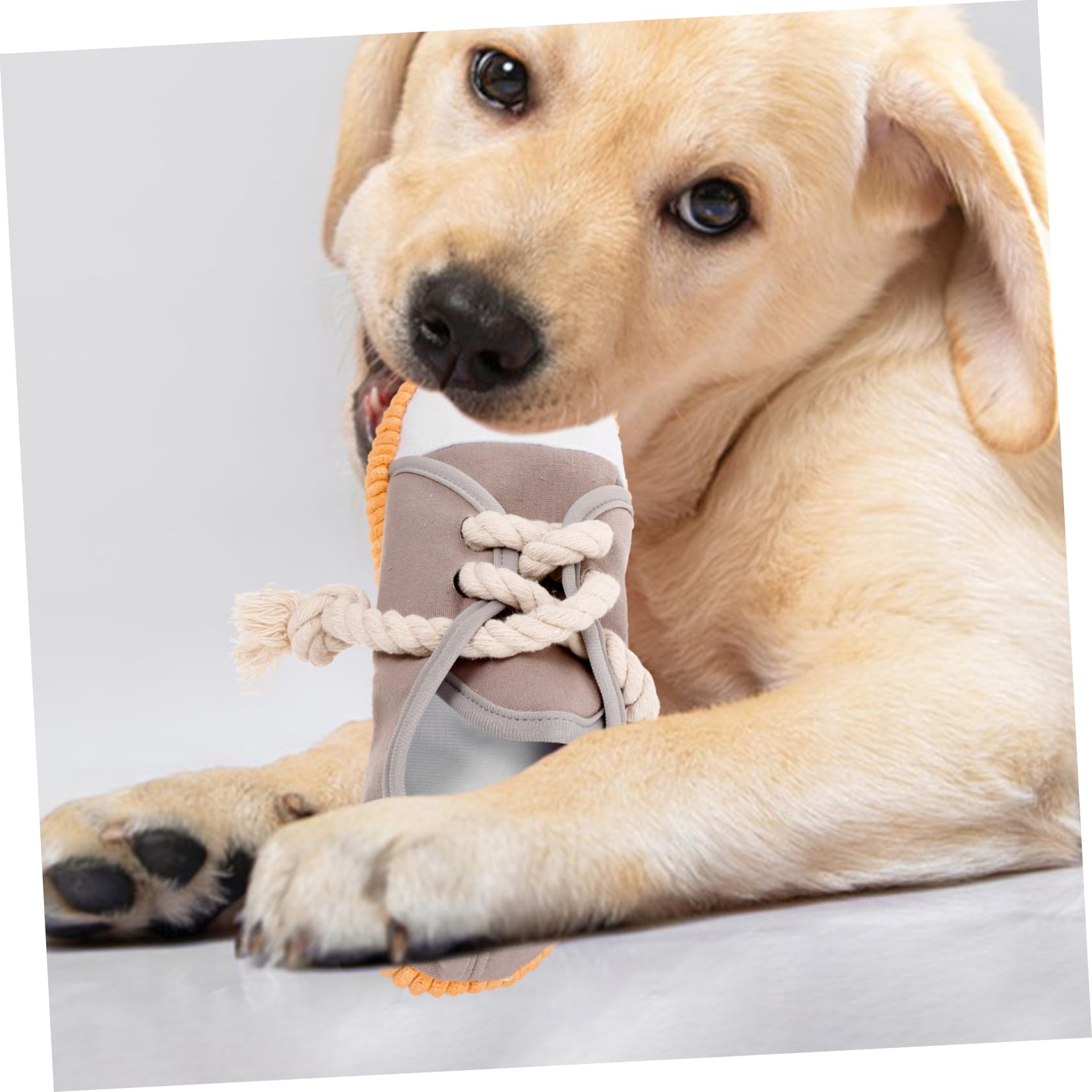 Toddmomy 4pièces Jouet à Mordre pour Chien Jouet De Nettoyage des pour Chiens Amusant avec Bruit