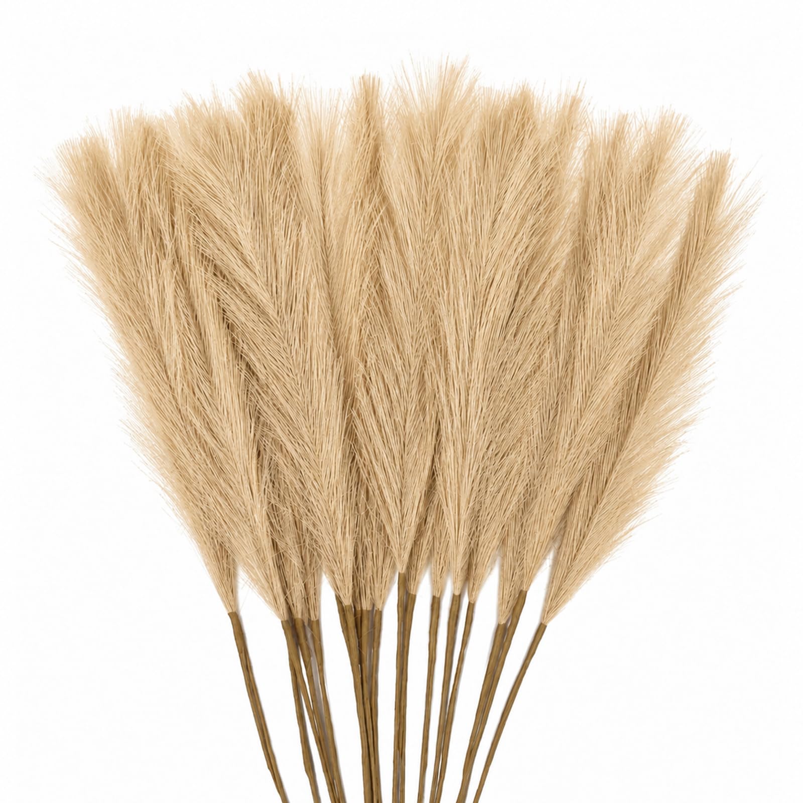 Merryloops 30 Pcs Pampas Grass Stems 21.7 Inches