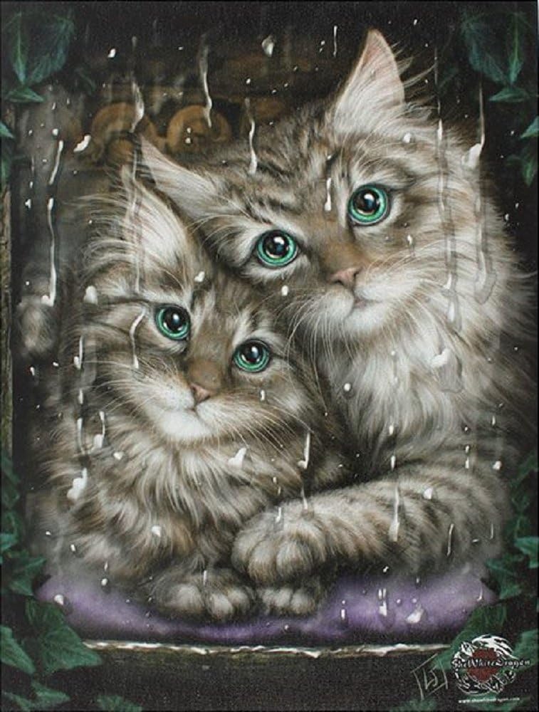 Small `Longing` Cat / Kitten tabby Canvas Picture by Linda Jones ~ 25cm x 19cm