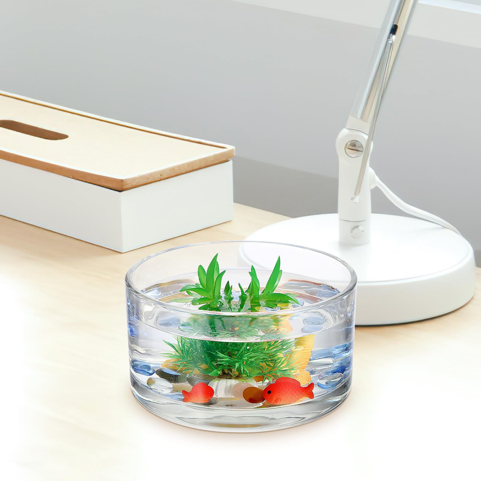 GALPADA Terrario Redondo de Vidrio Transparente para Plantas y Flores, Macetero Hidropónico Delicado y Resistente, Adecuado para Decorar el Hogar o Regalar