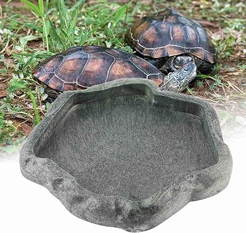 Miniatura 3 de Durable Reptile Rock Alimentador de alimentos y agua Plato de fuente para tortuga lagarto (verde M) Herramientas de cría de reptiles, (S)