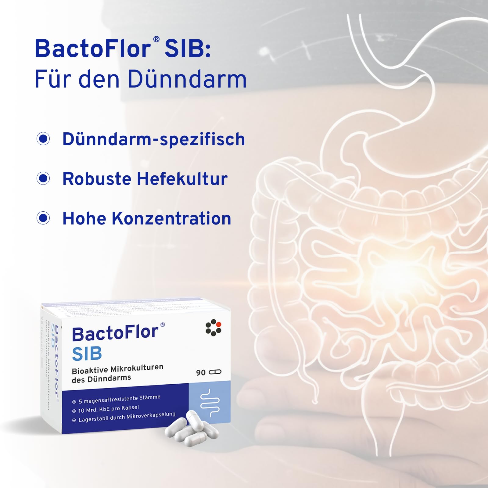 BactoFlor® SIB - Probiotika für den Dünndarm (90 Kapseln) - 4 Darmbakterien der Darmflora mit Saccharomyces boulardii & Milchsäurebakterien - 900 Mrd. KBE je Packung - laktosefrei & glutenfrei