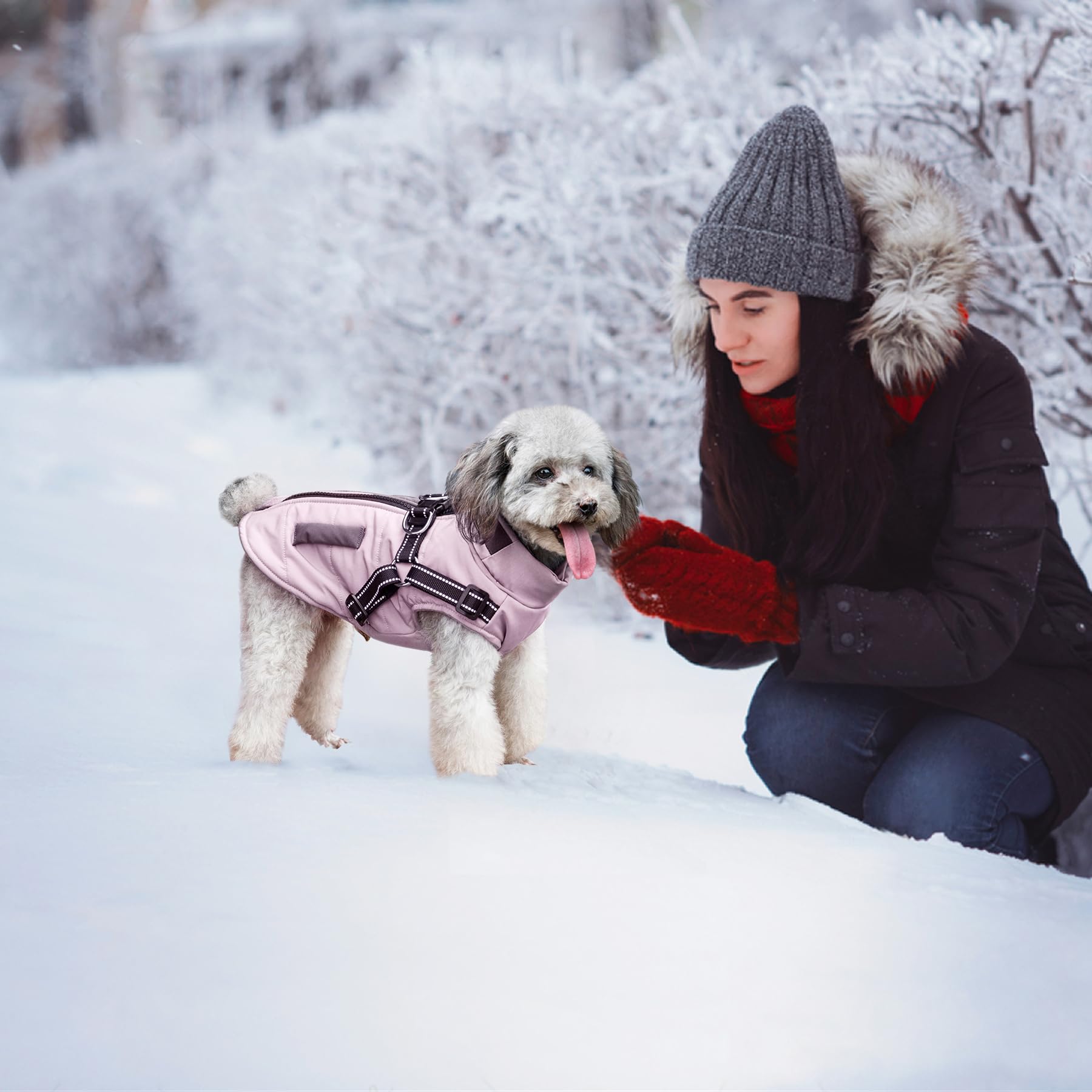 Vestes d'hiver pour Chiens, Manteaux Chauds pour Chiens Vêtements réfléchissants pour Chien Gilet imperméable pour Chiot avec Harnais pour Chiens de Petite et Moyenne Taille