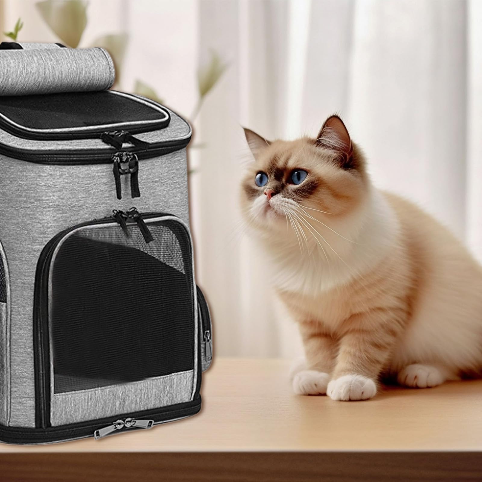 Weiche Tragetasche für Katzen, erweiterbar, tragbar, faltbar, für den täglichen Gebrauch, Nagelpflege, Wandern, Flug, Camping, Tiertransport