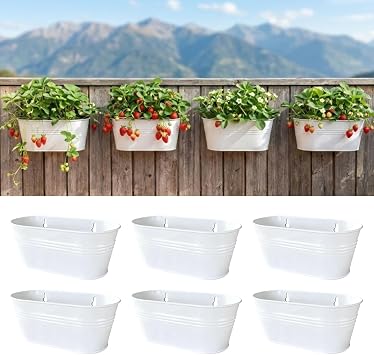 LaLaGreen Hanging Wall Planter 9.8 in, 6 Pack White Metal Plant Shelf