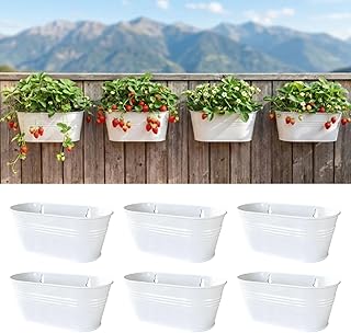 LaLaGreen Wall Planter (9.8 Inch, 6 Pack) White Oval Metal Pot Hanging D...