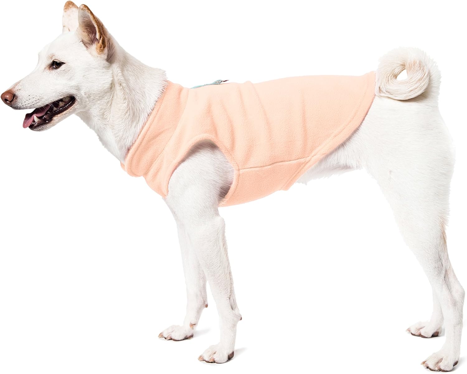 Gooby Fleece Vest Dog Sweater - Peach, X-Large - Warm Pullover Fleece Dog Jacket with O-Ring Leash - Winter Small Dog Sweater Coat - Cold Weather Dog Clothes for Small Dogs Boy or Girl (Pack of 2)
