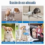 Ver la foto 6