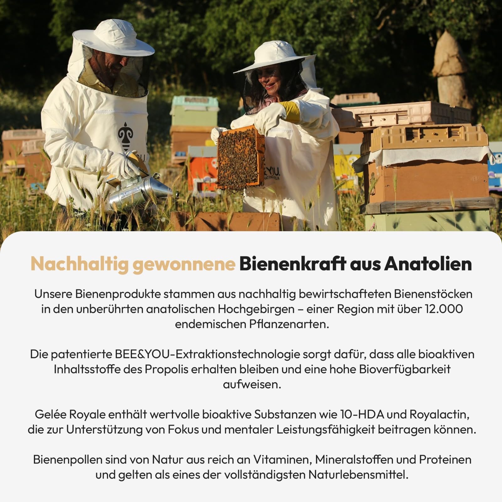 Bee&You Propolis, Gelée Royale & Blütenpollen Tabletten 500 mg – 60 Tabletten, Natürlich & ohne Zusatzstoffe