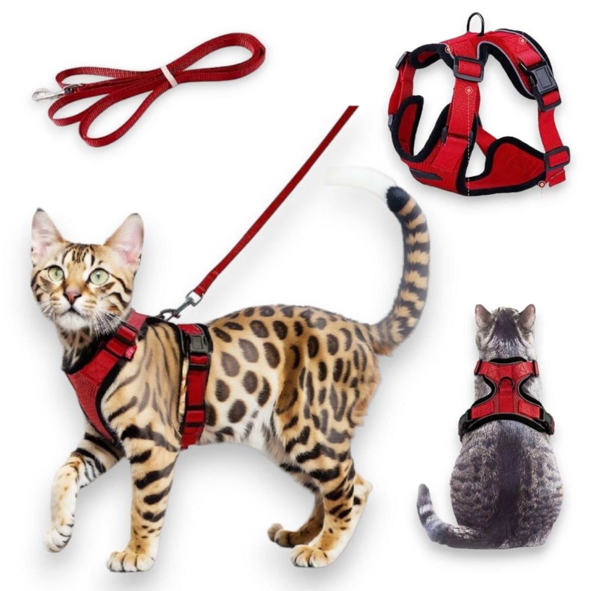 BLOCKBAT 2024 Arnes Gato + Correa Gato 150cm, Ajustable, Cómodo, Reflectante, Fabricado en Malla Transpirable y Suave, Gatos Accesorios, Collar Gato. (XS, Rojo)
