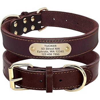leather dog collar with nameplate