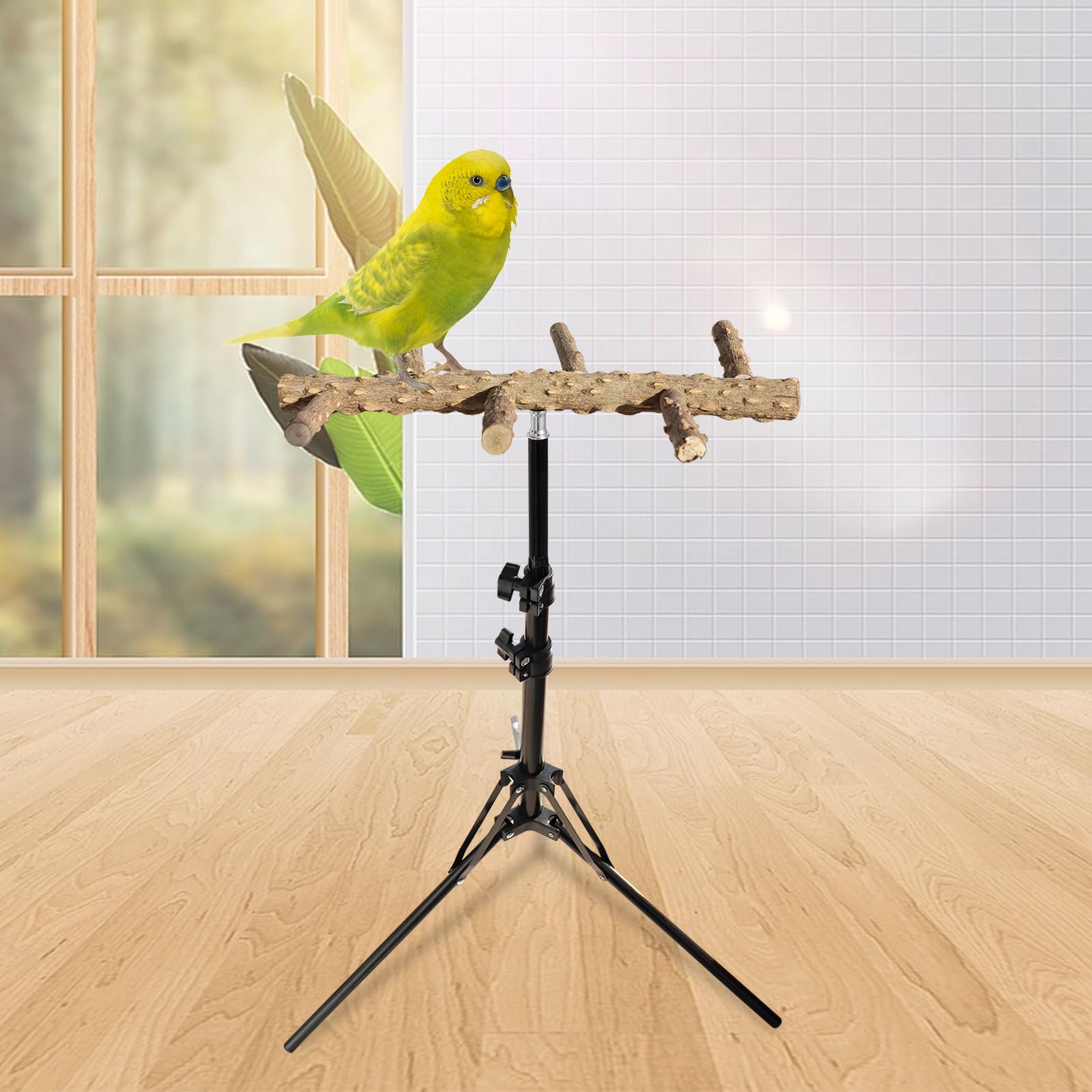 Soporte de perca de pájaros ajustable de 16 a 63 pulgadas de altura, juguete de perca de madera de pimienta natural, soporte de percha de entrenamiento de pájaros, soportes para pájaros interiores y