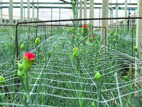 Miniatura 3 de Tenax Hortonova Plant Trellis Net Lm, 67 pulgadas x 328 pies, color blanco